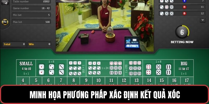 Minh họa phương pháp xác định kết quả xóc